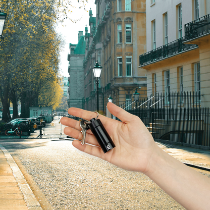 Ongrok Small Storage Keychain